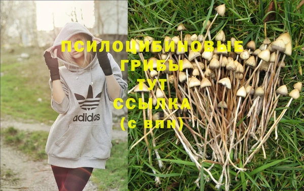 круглые Белокуриха